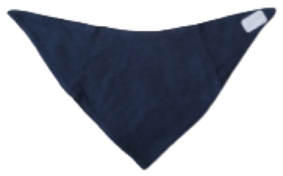 Two bandana dribble bibs, star print and navy