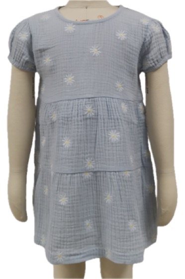 Blue muslin dress with daisy embroidery