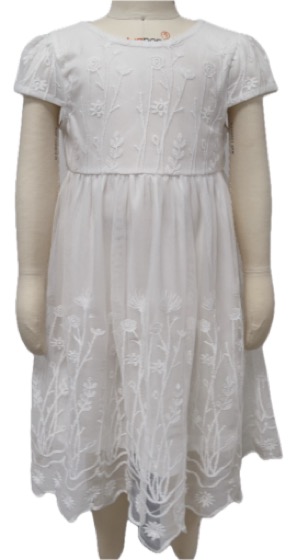 White embroidered lace girls dress, short sleeves