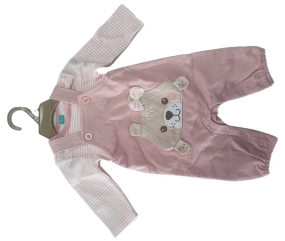 Pink bear dungaree set with striped top on hanger